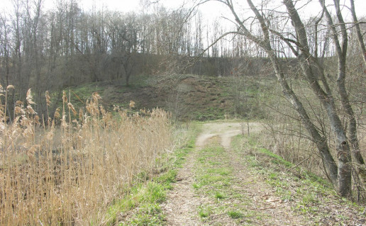 4_Brazuoles piliakalnis.jpg